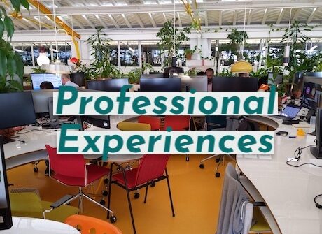 professional-experiences